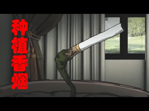 全球禁烟后，香烟卖到了1000一支，于是有人发明了种植香烟的方法！