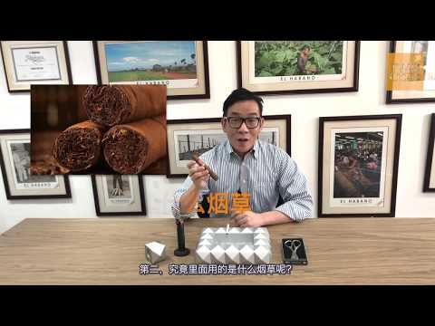 【Cigar Class】香烟和雪茄，哪个危害更小？关于尼古丁的迷思Cigars and Nicotine