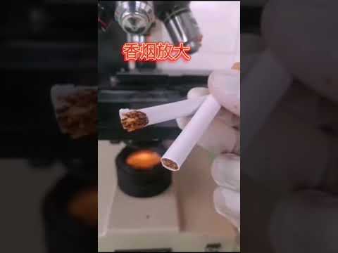 香烟放大 一支香烟烧尽后的样子，远离香烟、珍爱生命。