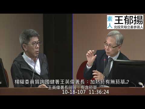 楊曜委員質詢國健署王英偉署長 加熱菸有無菸草？ 署長回答：有