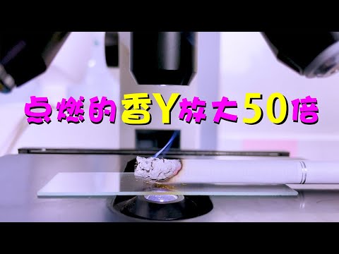 点燃的香烟温度有多高？放大50倍看【微观小卡】#shorts