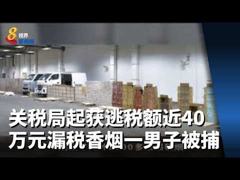 关税局起获逃税额近40万元漏税香烟 一男子被捕