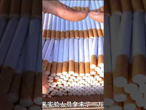 How do cigarettes affect the body?  | 香烟的危害 | 香烟