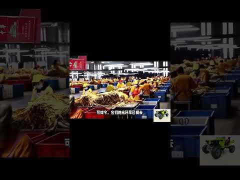 香烟
